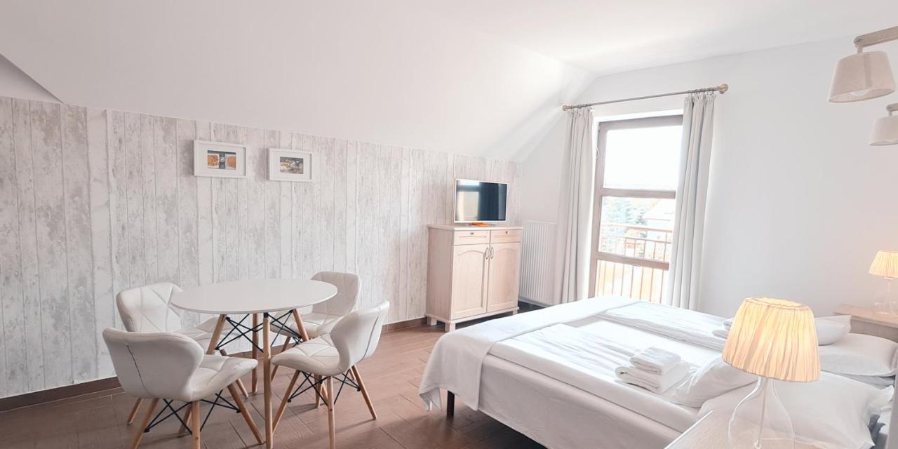 Sasinowka Apartment